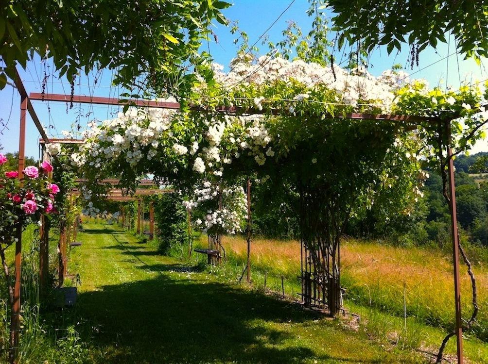 Mas Del Lum Bed and Breakfast Boussac  Zewnętrze zdjęcie